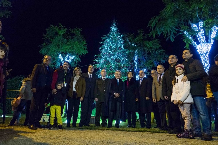 Christmas Wonderland in Jounieh
